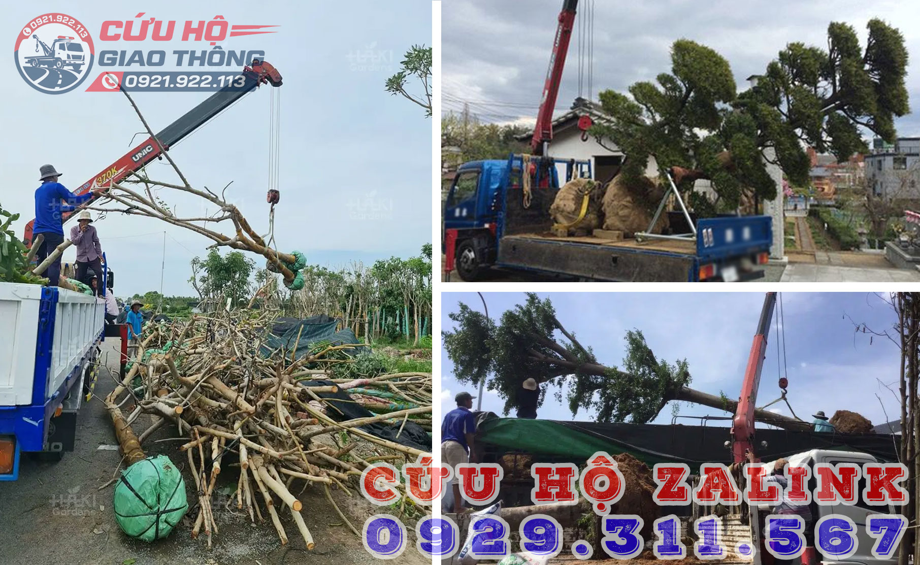 Vận chuyển cây xanh, công trình theo yêu cầu